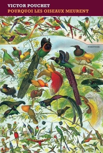 Pourquoi les oiseaux meurent - Jacques Delamain -  Finitude - Livre