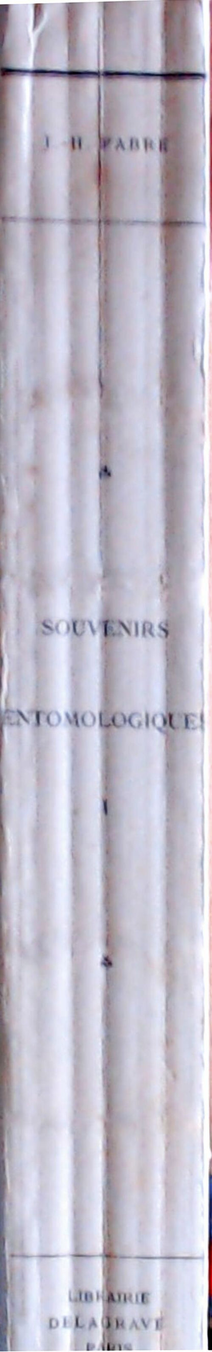 Souvenirs entomologiques Tome I - J.H Fabre -  Delagrave GF - Livre